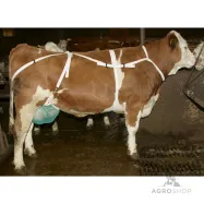 Nisakaitse kaela- ja rinnarihmaga L