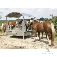 Söötur hobustega karjamaal