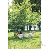 Elektrikarjuse aiavõrk PoultryNet kanadele 1,06x50m jalatoega