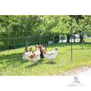 Elektrikarjuse aiavõrk PoultryNet kanadele 1,06x50m jalatoega