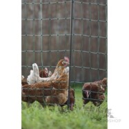 Elektrikarjuse aiavõrk PoultryNet Premium lindudele 1,06x25m jalatoega