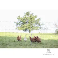 Aiavõrk PoultryNet Premium kanadele 1,06x25m jalatoega