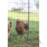Elektrikarjuse aiavõrk PoultryNet Premium lindudele 1,06x50m jalatoega