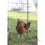 Elektrikarjuse aiavõrk PoultryNet Premium lindudele 1,06x50m jalatoega