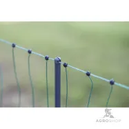 Elektrikarjuse aiavõrk PoultryNet Premium lindudele 1,06x50m jalatoega