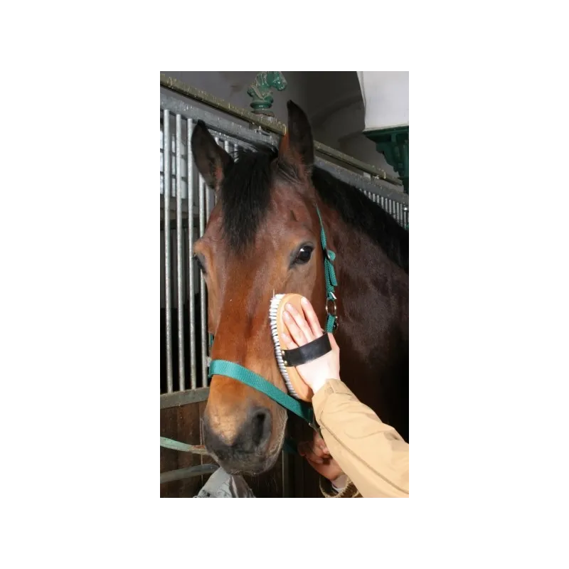 Hobuse hari Kerbl Brush&Co 22cm