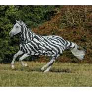 Hobuse putukatekk Bucas Freedom Fly Sheet Zebra