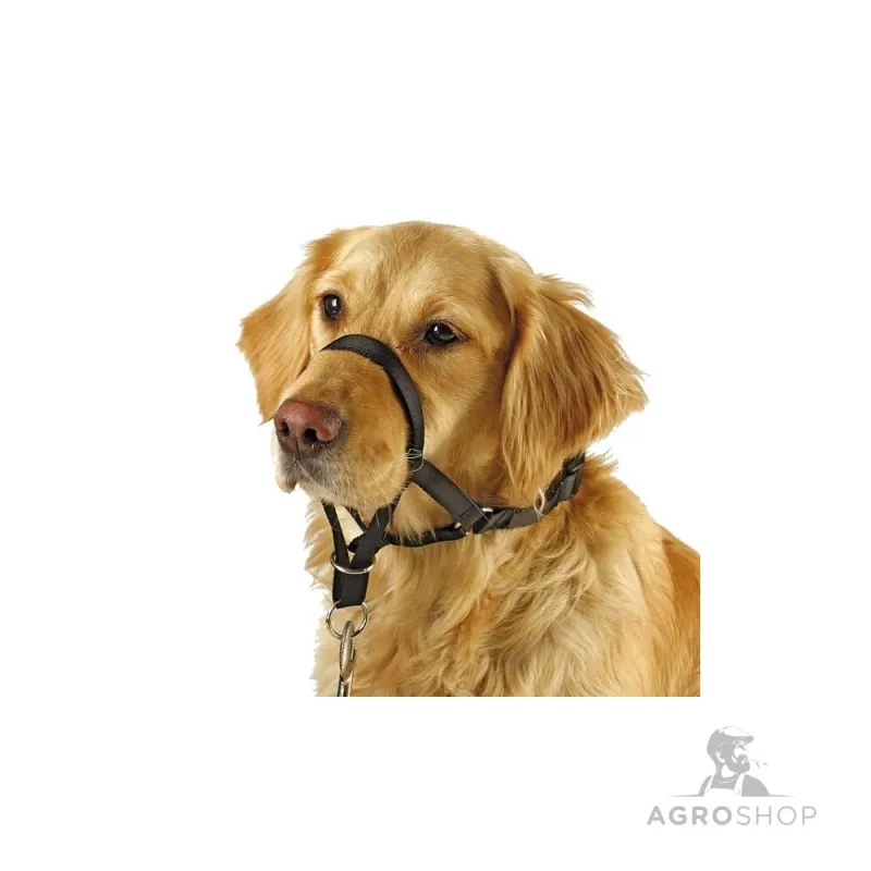 Koolitusrihmad Maxi Coach