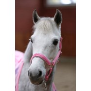 Päitsed ja nöör komplekt Lilli Starlight Pony