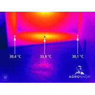 Soojenduslamp SunnyBoy 100 W