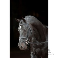 Valjad Bridle Classic pruun