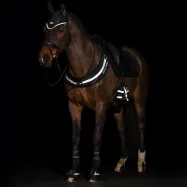 Kõrvad Luminous Imperial Riding