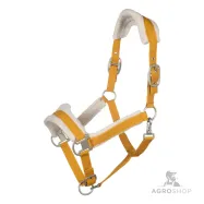 Päitsed Arezzo Lauria Garrelli
