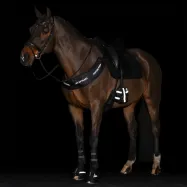Kalossid Reflective Imperial Riding