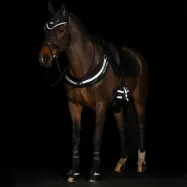 Varbasoojendaja Luminous Imperial Riding
