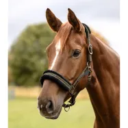 Päitsed Elegant Waldhausen