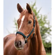 Päitsed Satin Waldhausen