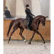 Valtrap Philadelphia Waldhausen