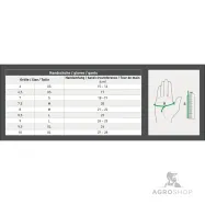Ratsakindad St. Moritz E·L·T