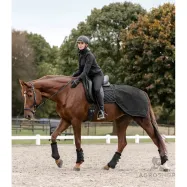 Trennitekk Rain Salzburg 50g Waldhausen