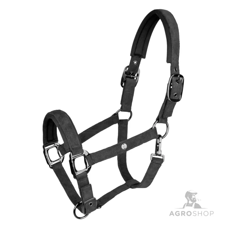 Päitsed St.Gallen Waldhausen