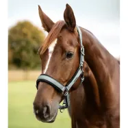 Päitsed Soft Touch Waldhausen