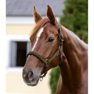 Päitsed Athletic Waldhausen