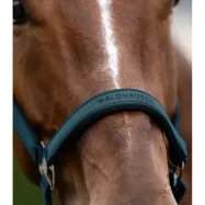 Päitsed Athletic Waldhausen