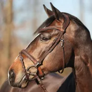 Valjad Everyday Oiled Leather Kavalkade