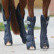 Transpordikaitsmed Montreal 4 Kavalkade