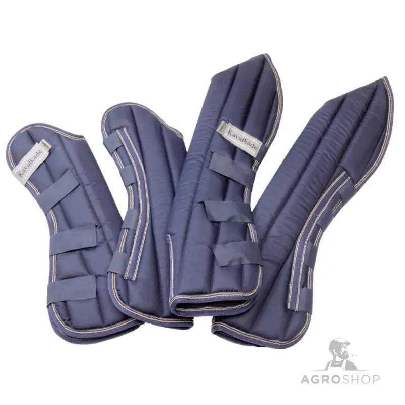 Transpordikaitsmed Montreal 4 Kavalkade