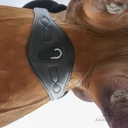 Sadulavöö Soft Leather Comfort Kavalkade