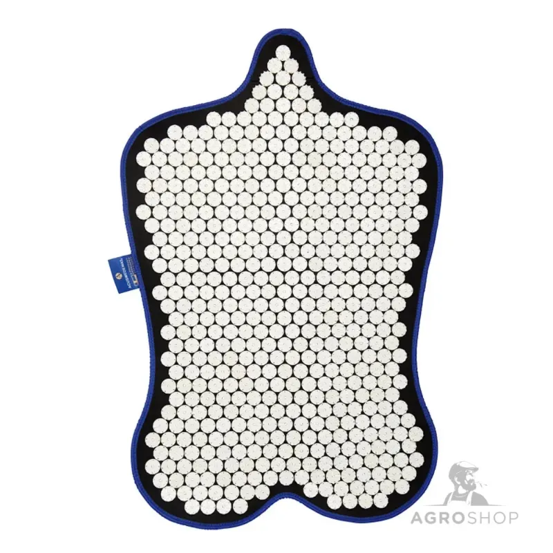 Matt Accuswede Floor Rider