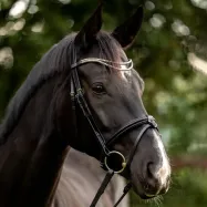 Otsmikurihm Clincher Duo Kavalkade