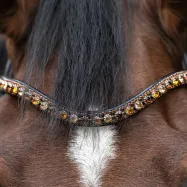 Otsmikurihm Dazzle Kavalkade