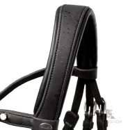 Valjad Cortica Veg Kavalkade