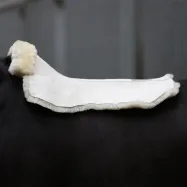 Lambanahast pehmendus Pure Kavalkade