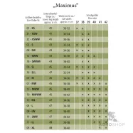 Ratsasaapad Maximus Kavalkade