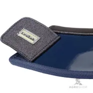 Kalossid Star Kavalkade