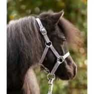 Päitsed Shetty Shorty Kavalkade