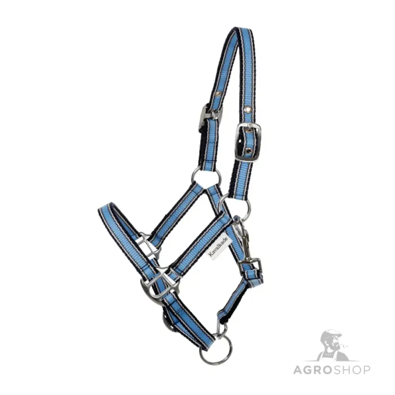 Päitsed Shetty Shorty Kavalkade