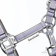 Päitsed Shetty Shorty Kavalkade