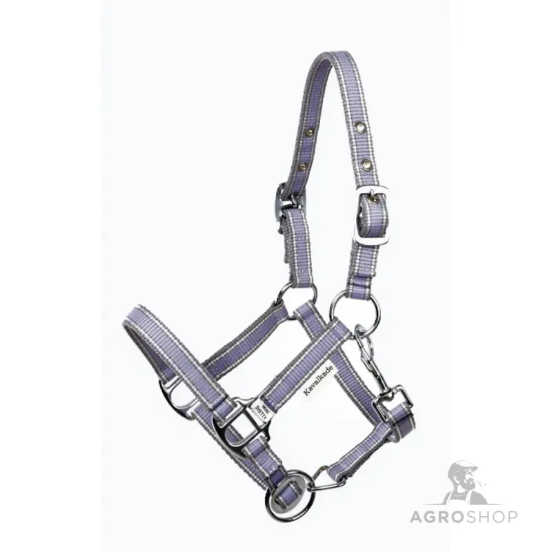 Päitsed Shetty Shorty Kavalkade