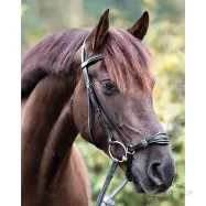 Valjad Levana Kavalkade