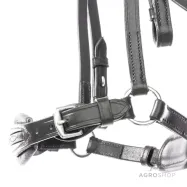 Valjad Levana Kavalkade