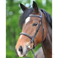 Valjad Akila Hunter Kavalkade