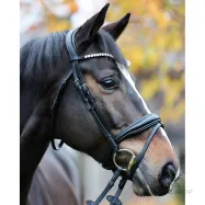 Valjad Juliana Patent Kavalkade