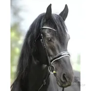 Valjad Juliana Patent Kavalkade