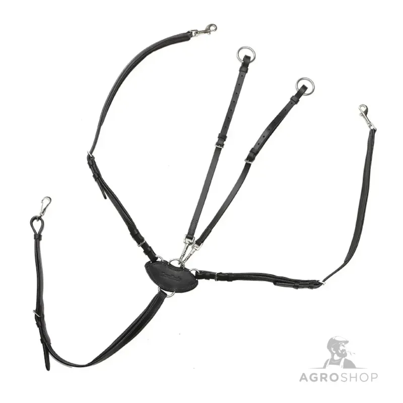 Rinnarihmaga martingal V-Shape Kavalkade