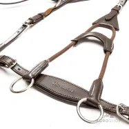 Rinnarihmaga martingal Caya 5 Kavalkade